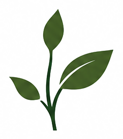 Expressions leaf mark